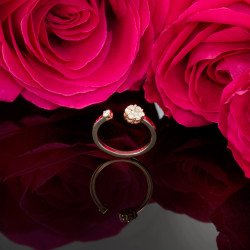 Inel din aur 18K cu diamante 0,27 ct., model Orsini 2724G-BW1