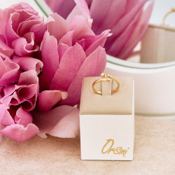 Inel din aur 18K cu diamante 0,09 ct., model Orsini 2883G